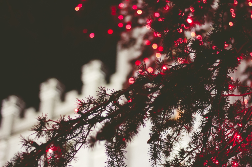 Christmas Lights at Temple Square, Salt Lake City